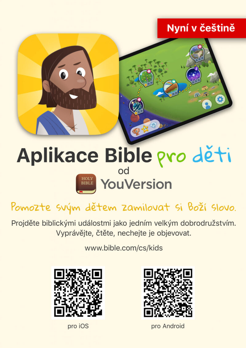 Bible 800x1131