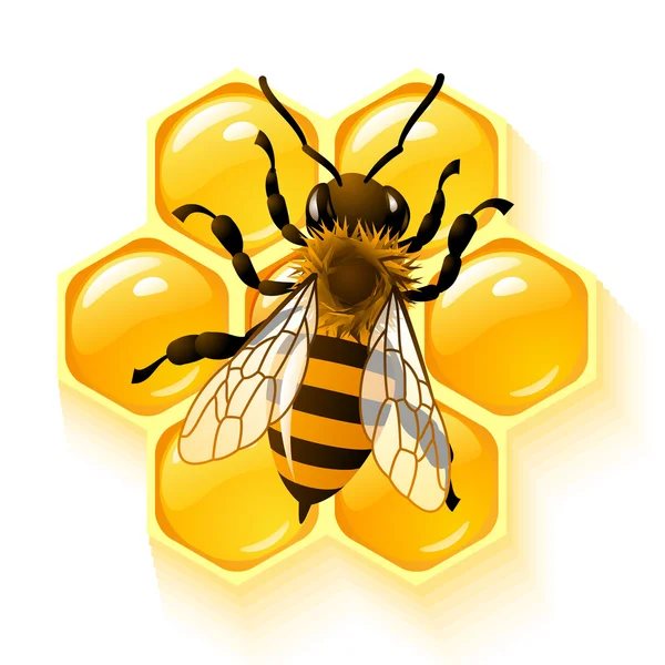 depositphotos 1239946 stock photo bee and honeycombs 1